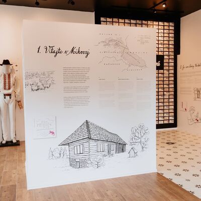 486665761_1068166275347619_8618478177559865299_n