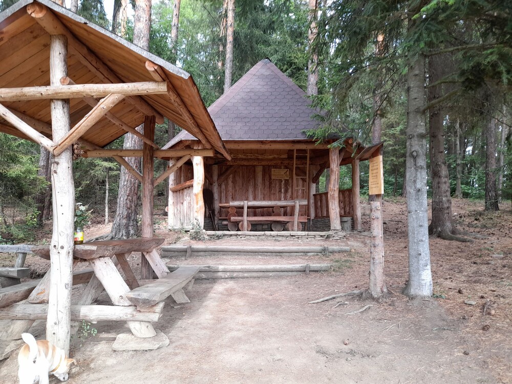 Jasová hora 1