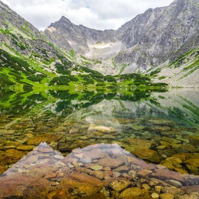 blog