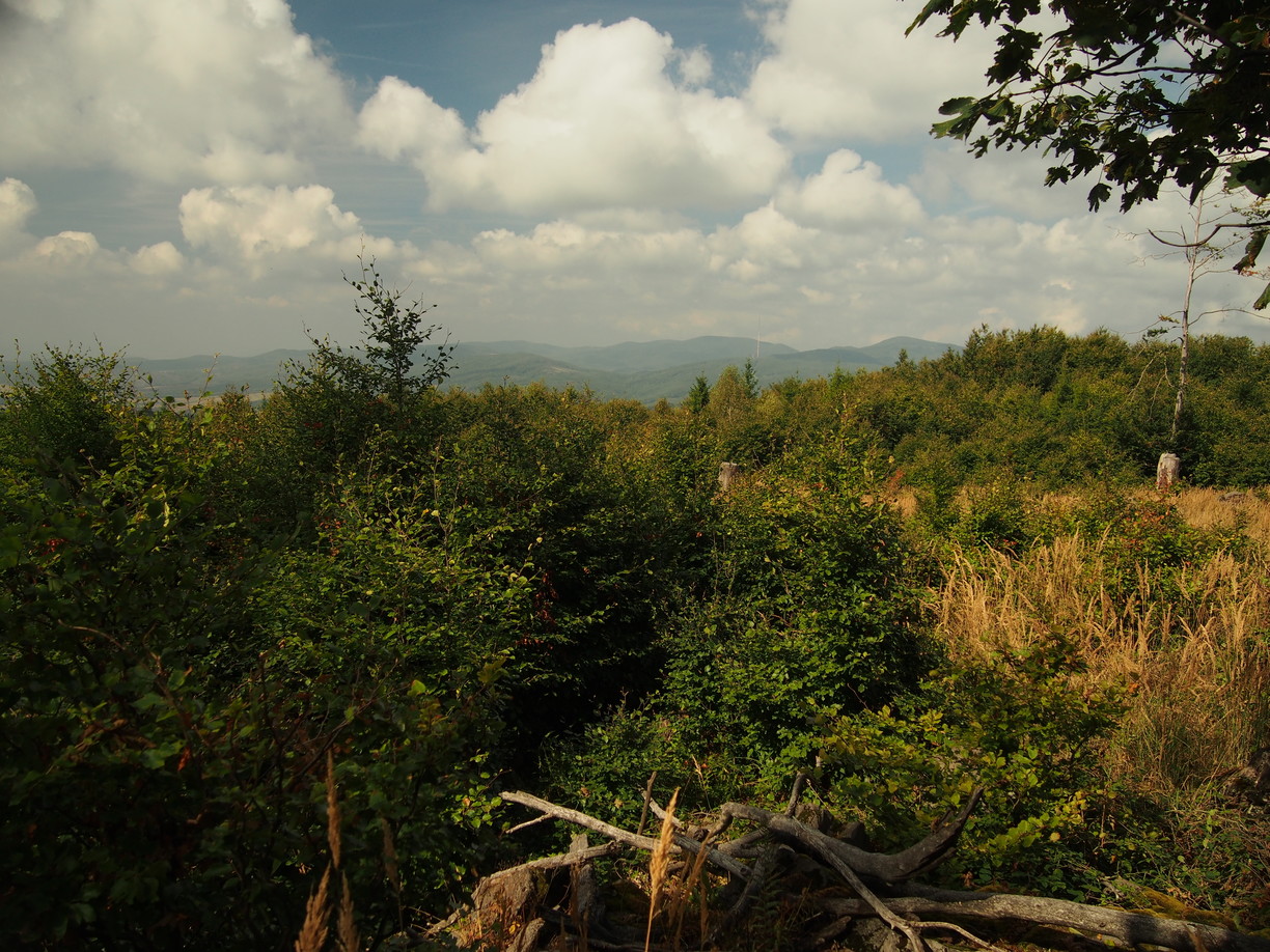  Pohľad z Menšieho vrchu. Foto: KOCR SVS